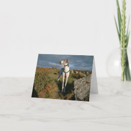 Blå greyhound kort