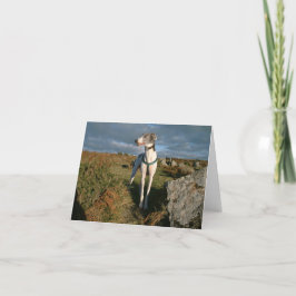 Blå greyhound kort