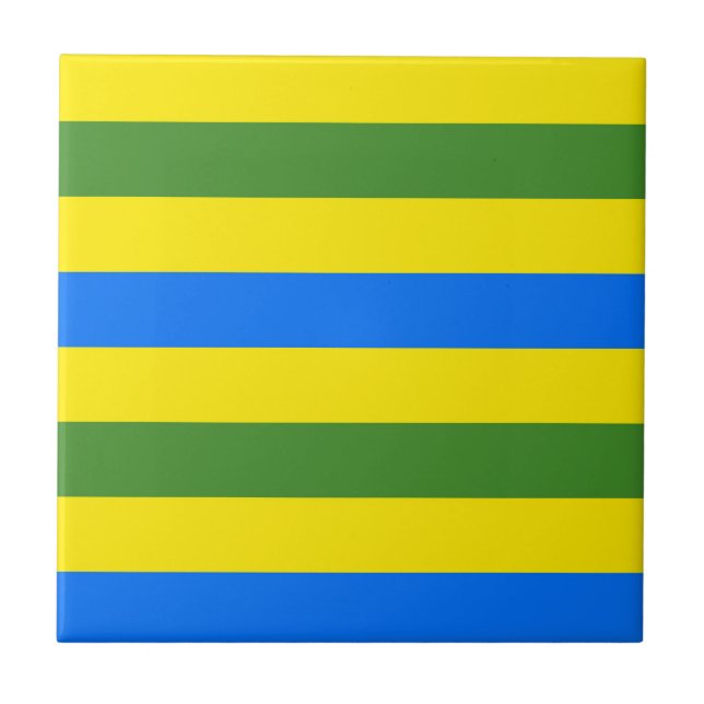 Blå Grönt och Gult Rand Design Kakelplatta (Framsidan)