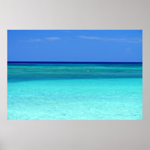 Blå Grönt Paradise Poster
