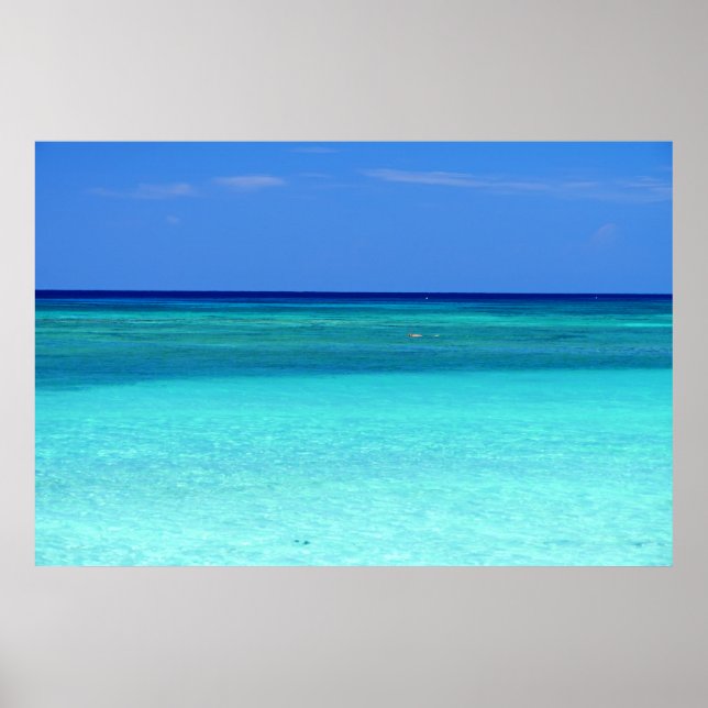 Blå Grönt Paradise Poster (Framsidan)