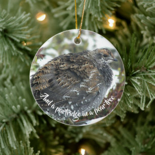 Blå grouse i Snö Helgdag Julgransprydnad Keramik