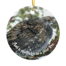 Blå grouse i Snö Helgdag