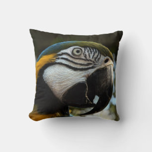 Blå Guld Macaw Ansikte, stäng upp fyllning Kudde
