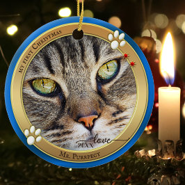 Blå Guld Söt Katt Foto Ornament