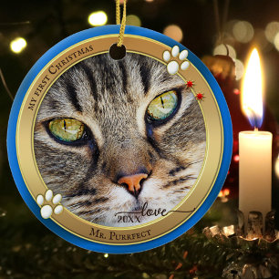 Blå Guld Söt Katt Foto Ornament