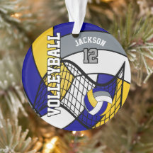 Blå, Gult och Grått volleyball