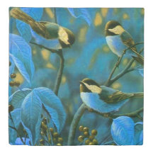 Blå gult småfåglar