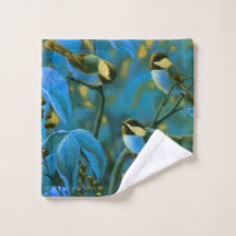 Blå gult småfåglar