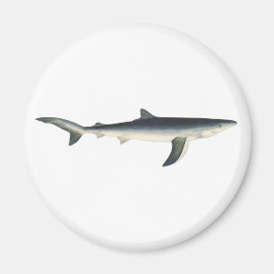 Blå haj, Vintage akvatisk oceanisk marint liv Magnet