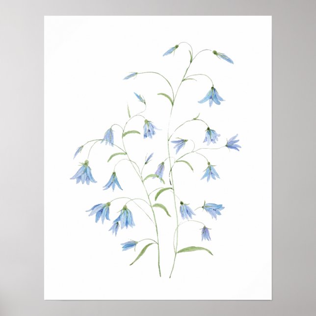 Blå harebell blommor 2021 vattenfärg poster (Framsidan)