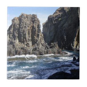 Blå Hawaiianska cove Kakelplatta