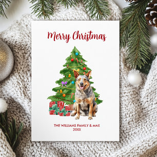 Blå Heeler-Hund familj jul Julkort