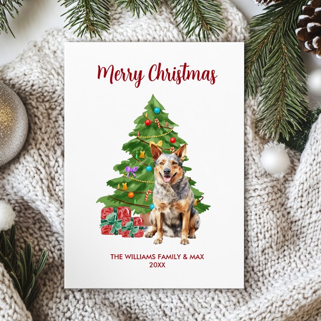 Blå Heeler-Hund familj jul Julkort (Skapare uppladdad)