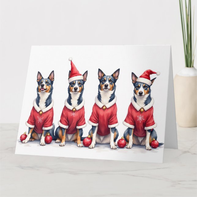 Blå Heeler julklänning Santa hatt Kort (Framsida)