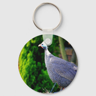 Blå Helmeted Guinea Fowl i sol Nyckelring