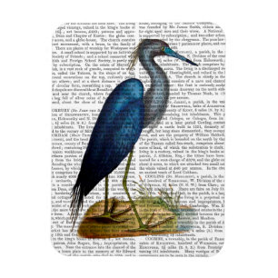Blå Heron 3 2 Magnet