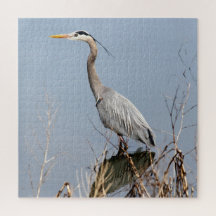 Blå Heron och Fern Backe våtmarker