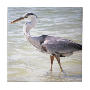 Blå Heron på Älskare Nyckel Kakelplatta