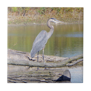 Blå Heron-panel Kakelplatta