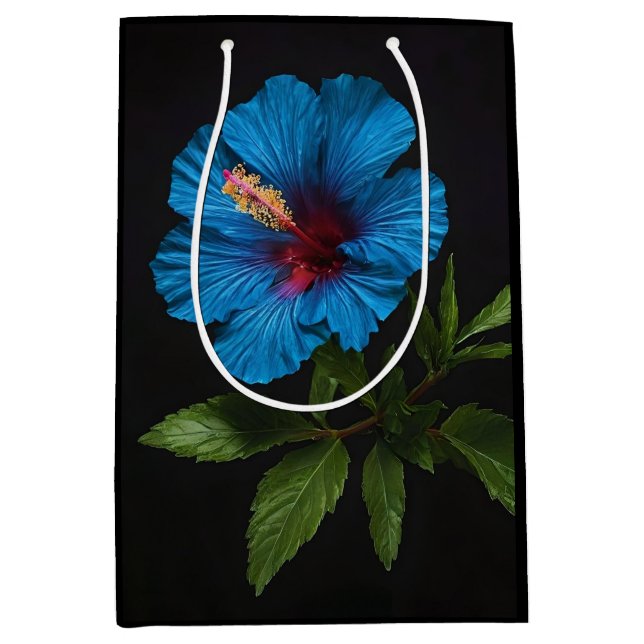 Blå Hibiscus blomma på svart. (Framsidan)