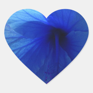Blå Hibiscus Flower Hjärtformat Klistermärke