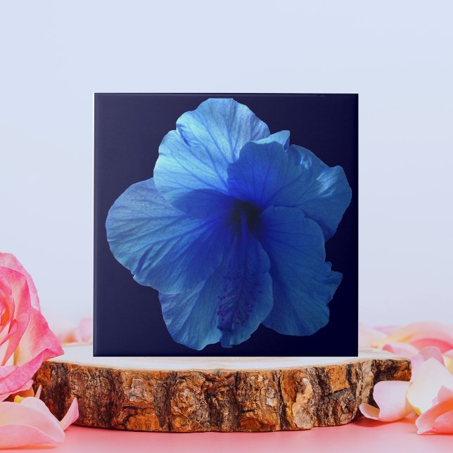 Blå Hibiscus Flower Kakelplatta (Blue Hibiscus Flower Tile)