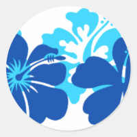 Blå hibiscus