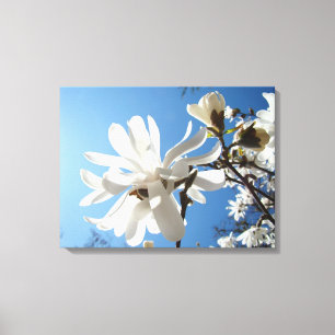 Blå himmel Blomsterkonst Canvastryck Vita Magnolio