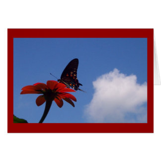 Blå himmel Butterfly! Hälsningskort