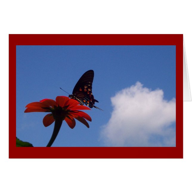 Blå himmel Butterfly! Hälsningskort (Framsidan Horizontal)