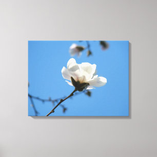 Blå himmel Canvas konsttryck Vit Magnolia Blomma