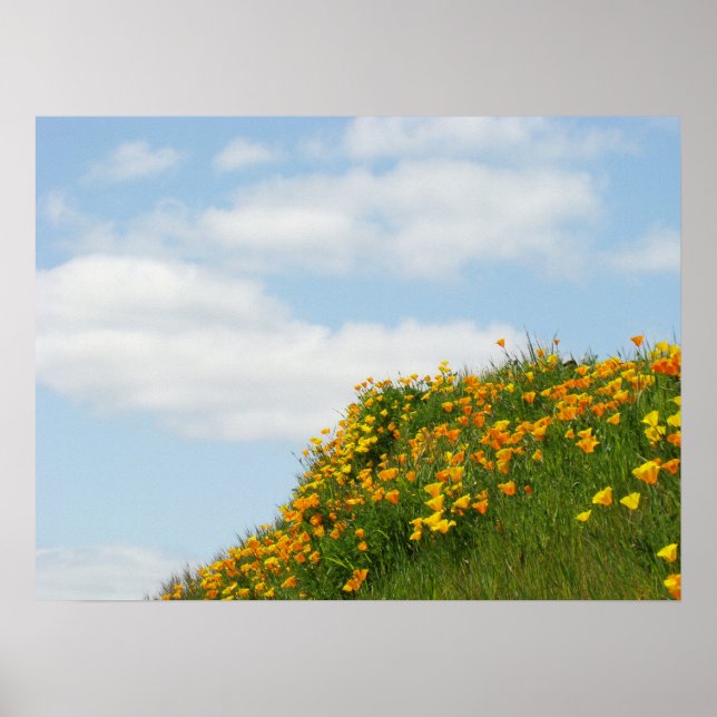 Blå himmel Fine Art Prages White Clouds Poppies Poster (Framsidan)