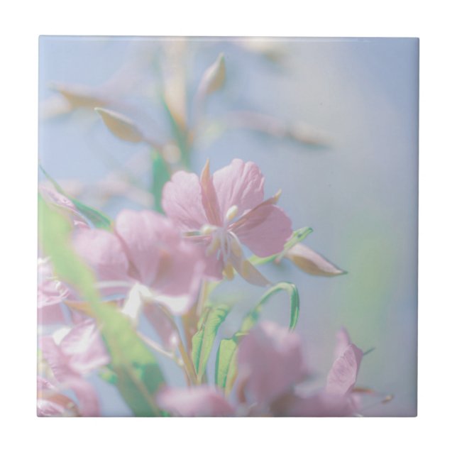 Blå himmel Grönt Plant Löv Lila blommor Kakelplatta (Framsidan)