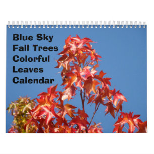 Blå Himmel Höst Träd Kalender Färgglada Löv