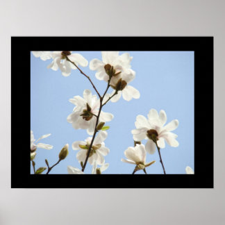 Blå himmel konsttryck Vita blommande blommor Magno Poster