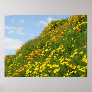 Blå himmel konsttryck Vita moln vallmo blommor Poster