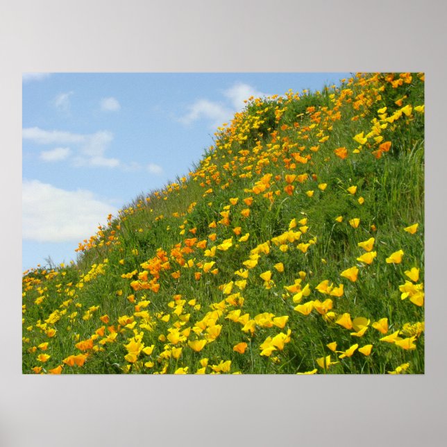 Blå himmel konsttryck Vita moln vallmo blommor Poster (Framsidan)
