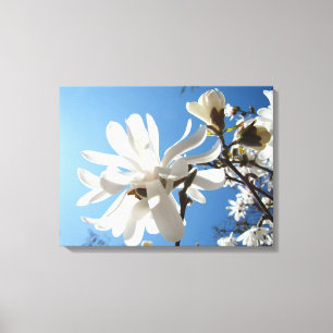 Blå himmel magnolia blomsterduk konsttryck vår canvastryck