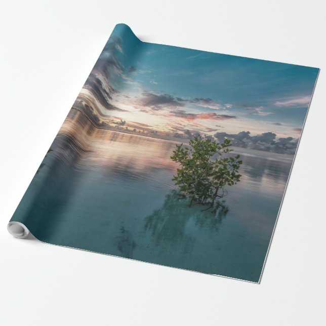 blå himmel med rött moln och mörk reflekterade på  presentpapper (Utrullad)