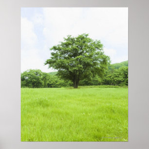 Blå himmel och fält poster