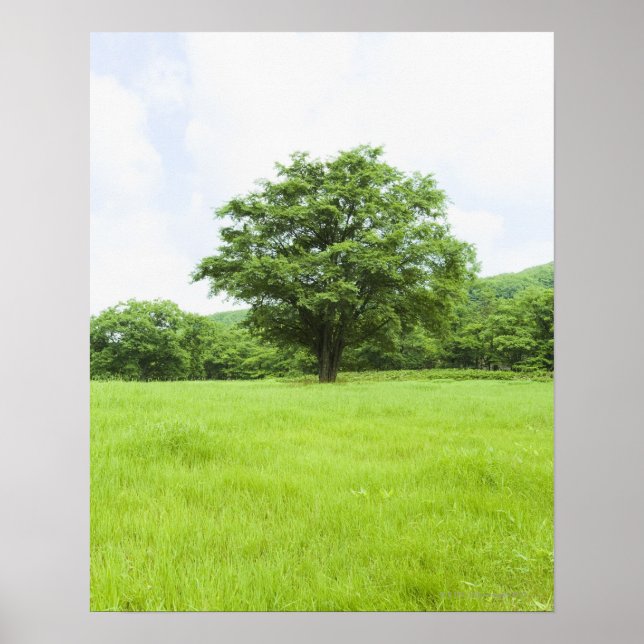 Blå himmel och fält poster (Framsidan)