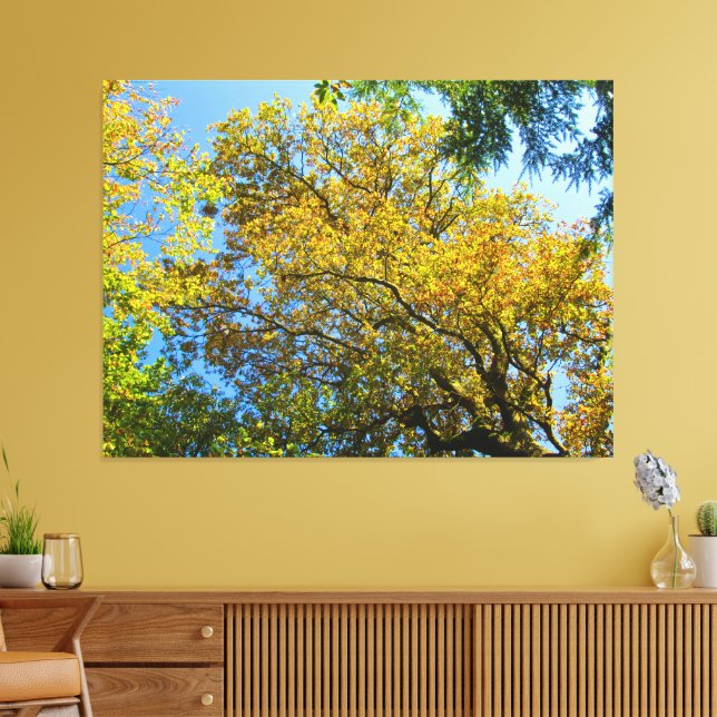 Blå himmel och höstblomma - canvastryck (Insitu (Vardagsrum))