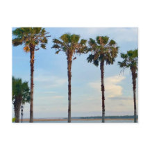 Blå himmel och Träd