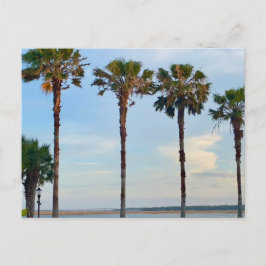 Blå himmel och Träd Vykort