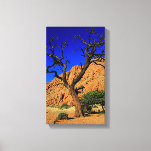 Blå himmel röd jord träd Namibia Canvastryck