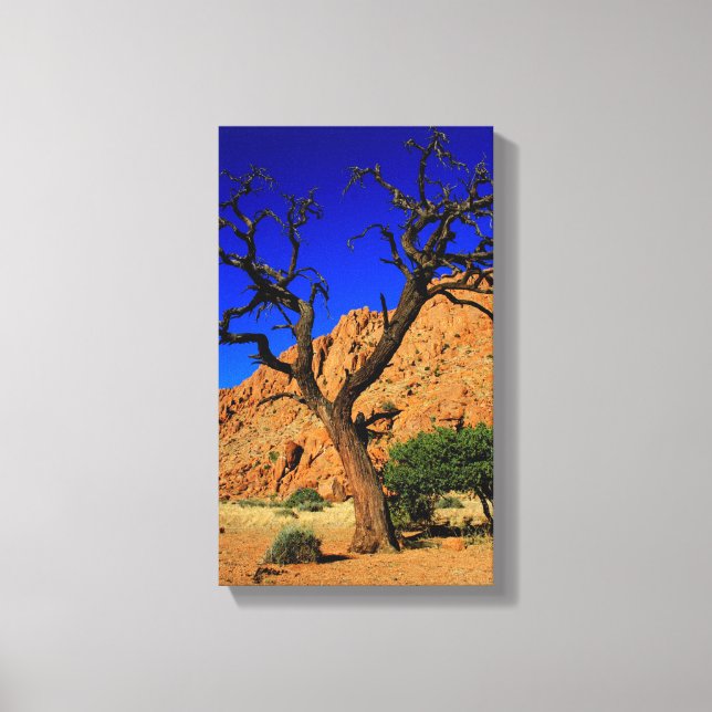 Blå himmel röd jord träd Namibia Canvastryck (Framsida)