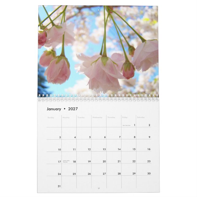 Blå himmel Rosa vårkalender Natur Träd Blommor Kalender (Jan 2027)