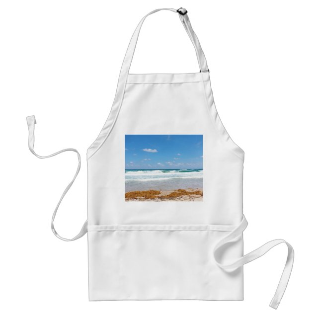 Blå himmel surfing rullar in mot strandlinjen förkläde (Framsidan)