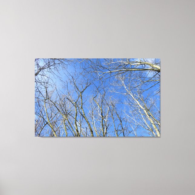 Blå himmel, Träd i vinter Canvastryck (Framsida)